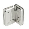 Shower Hinges SS304/SS316 DF SHB 21