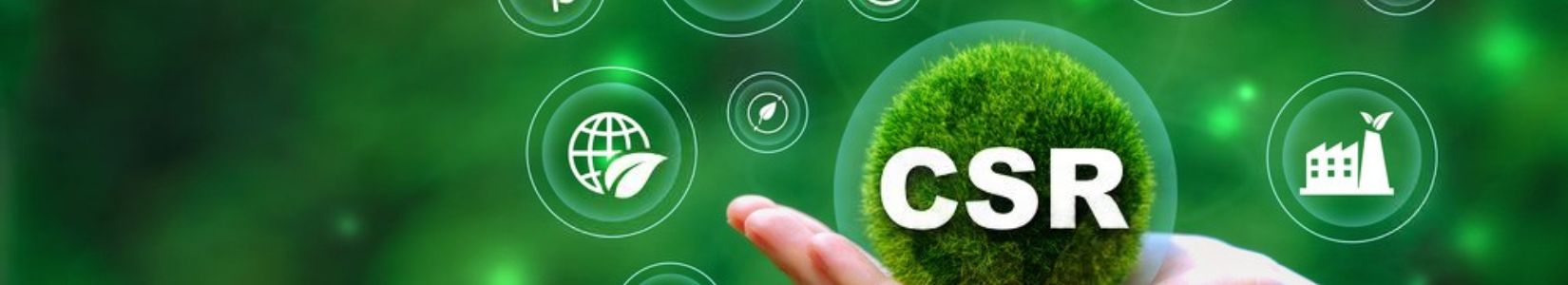 CSR bg